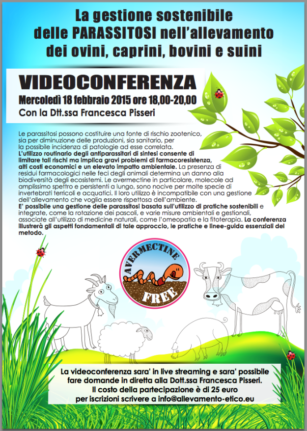 videoconferenza Pisseri